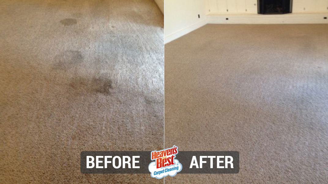 Heaven's Best Carpet Cleaning of Mesa