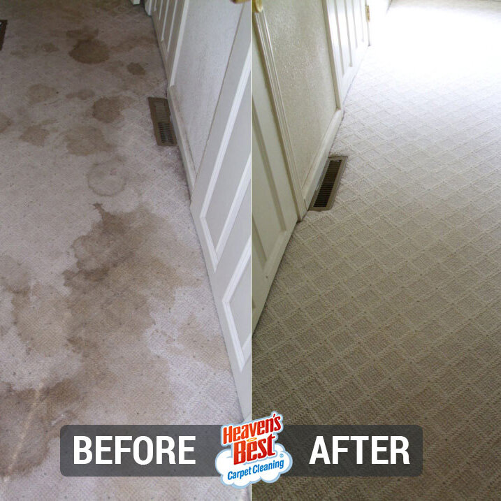 Heaven's Best Carpet Cleaning of Mesa
